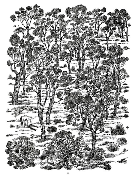 Marquis de Sade — 7 -  Voir, c'est croire...