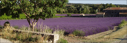 Marquis de Sade - 1 – Tout le bonheur des hommes est dans l'imagination...