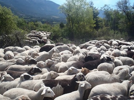 Marquis de Sade - 1 – Tout le bonheur des hommes est dans l'imagination...