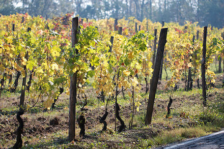 Marquis de Sade - 2 – Tout le bonheur des hommes est dans l'imagination...