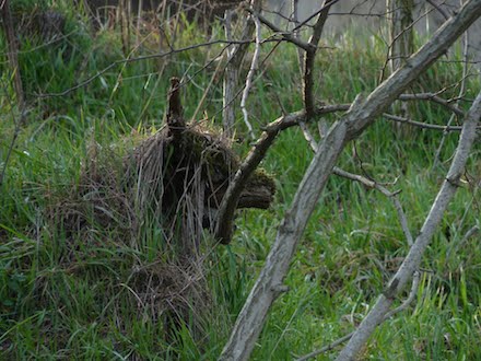 Marquis de Sade - 2 – Tout le bonheur des hommes est dans l'imagination...