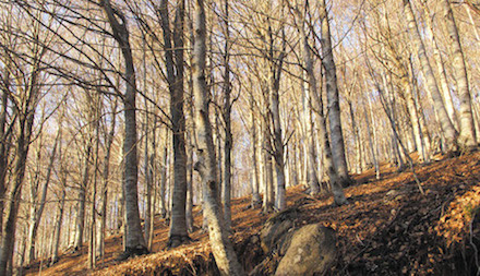 Marquis de Sade - 3 – Tout le bonheur des hommes est dans l'imagination...