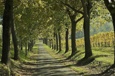 Marquis de Sade - 3 – Tout le bonheur des hommes est dans l'imagination...