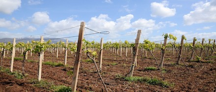 Marquis de Sade - 4 – Tout le bonheur des hommes est dans l'imagination...