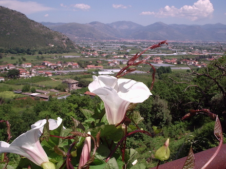 Marquis de Sade - 4 – Tout le bonheur des hommes est dans l'imagination...