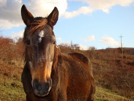 Marquis de Sade - 7 – Tout le bonheur des hommes est dans l'imagination...