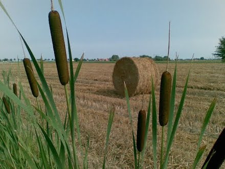 Marquis de Sade - 8 – Tout le bonheur des hommes est dans l'imagination...