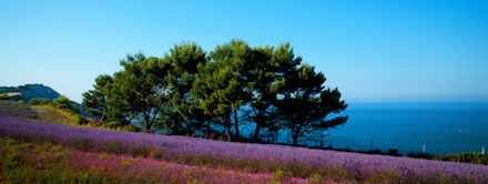 Marquis de Sade - 8 – Tout le bonheur des hommes est dans l'imagination...