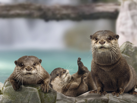 Marquis de Sade - 8 – Tout le bonheur des hommes est dans l'imagination...