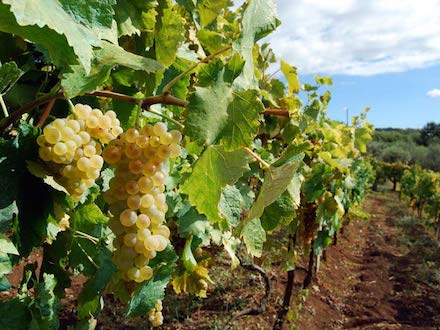 Marquis de Sade - 6 – Tout le bonheur des hommes est dans l'imagination...