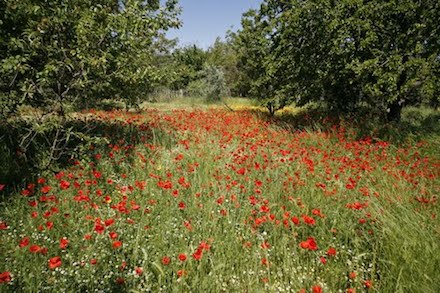 Marquis de Sade - 6 – Tout le bonheur des hommes est dans l'imagination...